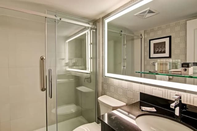 DoubleTree by Hilton Hotel Toronto Downtown-Room, 1 Queen Bed (Roll-in Shower)-8