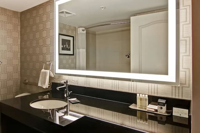 DoubleTree by Hilton Hotel Toronto Downtown-Room, 1 Queen Bed, Bathtub-6