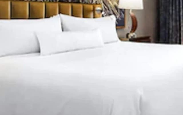 威斯汀多倫多機場飯店-豪華客房, 2 張加大雙人床-3