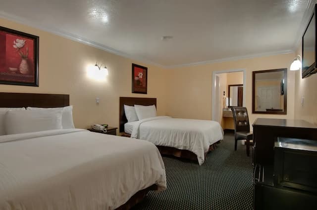 聖佩德羅浪人酒店-標準客房, 2 張加大雙人床, 非吸煙房-2