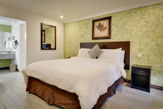 聖佩德羅浪人酒店-標準客房, 1 張特大雙人床, 非吸煙房-9