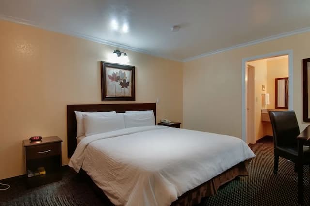 聖佩德羅浪人酒店-標準客房, 1 張特大雙人床, 非吸煙房-4