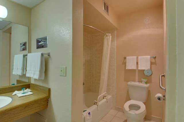 聖佩德羅浪人酒店-標準單人房, 1 張特大雙人床, 吸煙房-2