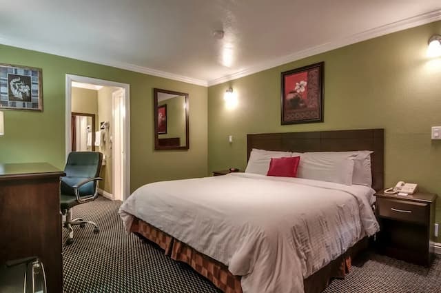 聖佩德羅浪人酒店-標準單人房, 1 張特大雙人床, 吸煙房-1