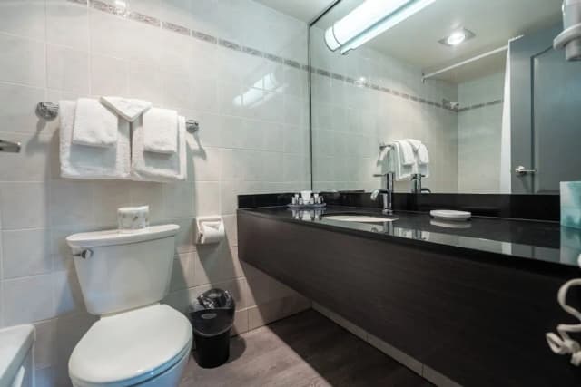 센추리 플라자 호텔-스탠다드 스위트, 침실 1개, 주방, 코너-10