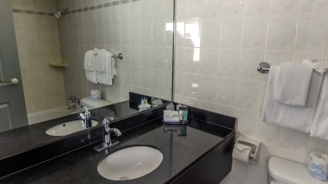 센추리 플라자 호텔-스탠다드 스위트, 침실 1개, 주방, 코너-2