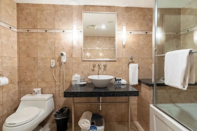 센추리 플라자 호텔-디럭스 스튜디오 스위트 (Top Floor with premium amenities)-6