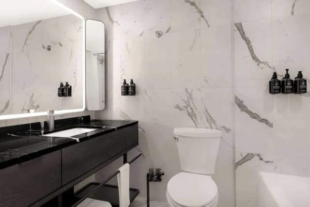 힐튼의 큐리오 컬렉션, 리버리 토론토 다운타운-룸, 퀸사이즈침대 2개-4