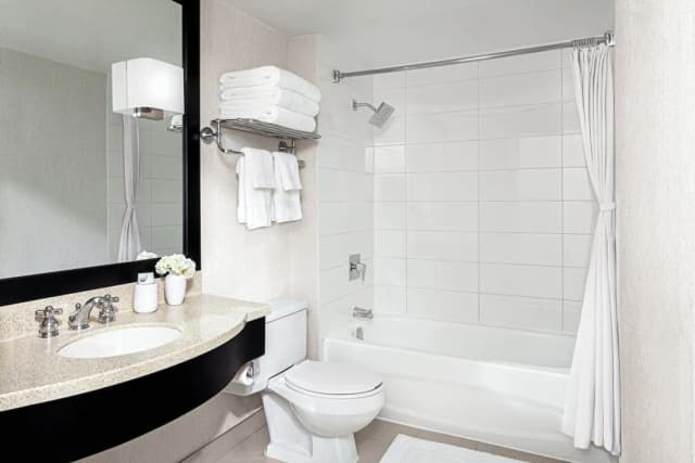 多倫多切爾西飯店-客房, 1 張特大雙人床 (Chelsea)-3