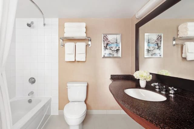 多倫多切爾西飯店-行政客房, 1 張特大雙人床-5