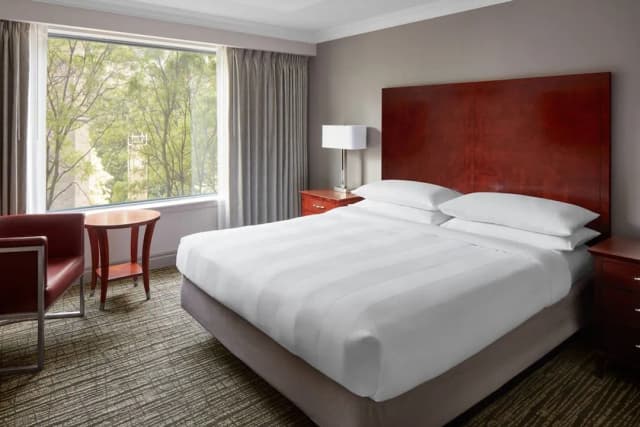 多倫多伊頓市中心萬豪飯店-套房, 1 間臥室-6