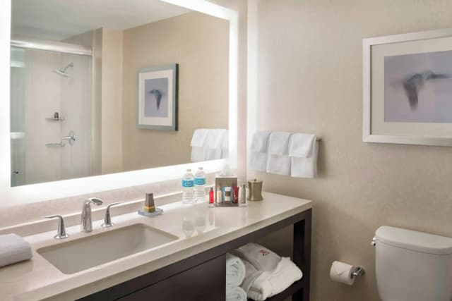 多倫多伊頓市中心萬豪飯店-套房, 1 間臥室-11