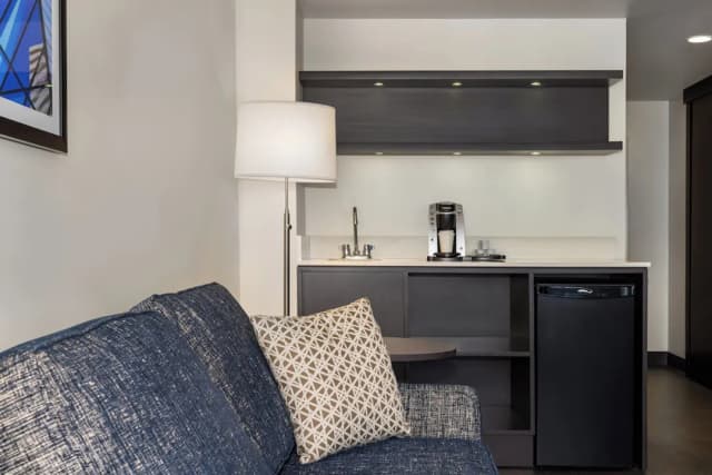 多倫多市中心假日飯店 - IHG 旗下飯店-套房, 1 張特大雙人床, 城市景觀-1