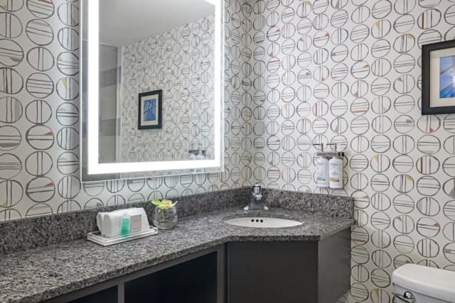 多倫多市中心假日飯店 - IHG 旗下飯店-套房, 1 張特大雙人床, 城市景觀-11