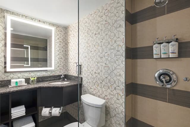 多倫多市中心假日飯店 - IHG 旗下飯店-標準客房, 1 張特大雙人床-6