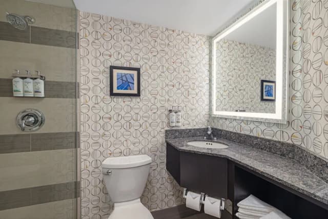 多倫多市中心假日飯店 - IHG 旗下飯店-尊榮客房, 1 張特大雙人床-8