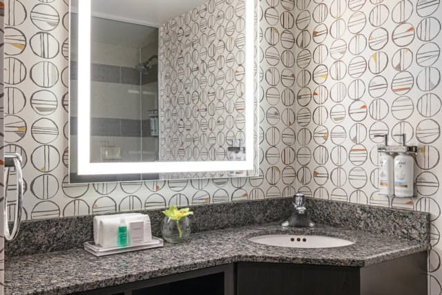 多倫多市中心假日飯店 - IHG 旗下飯店-標準客房, 1 張加大雙人床, 無障礙 (Mobility, Roll-In Shower)-6