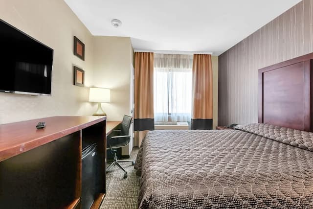 Hotel MOCA NYC-华丽客房-2