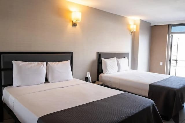 Hotel MOCA NYC-华丽客房-3