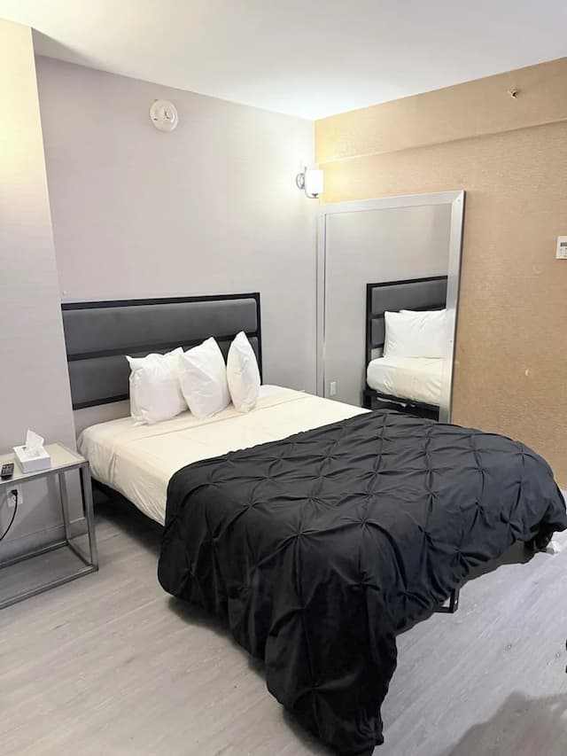 Hotel MOCA NYC-华丽客房-8