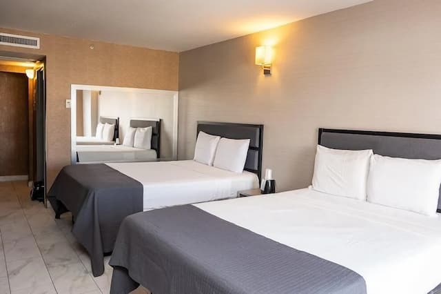 Hotel MOCA NYC-华丽客房-5