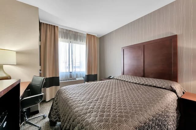 Hotel MOCA NYC-华丽客房-3