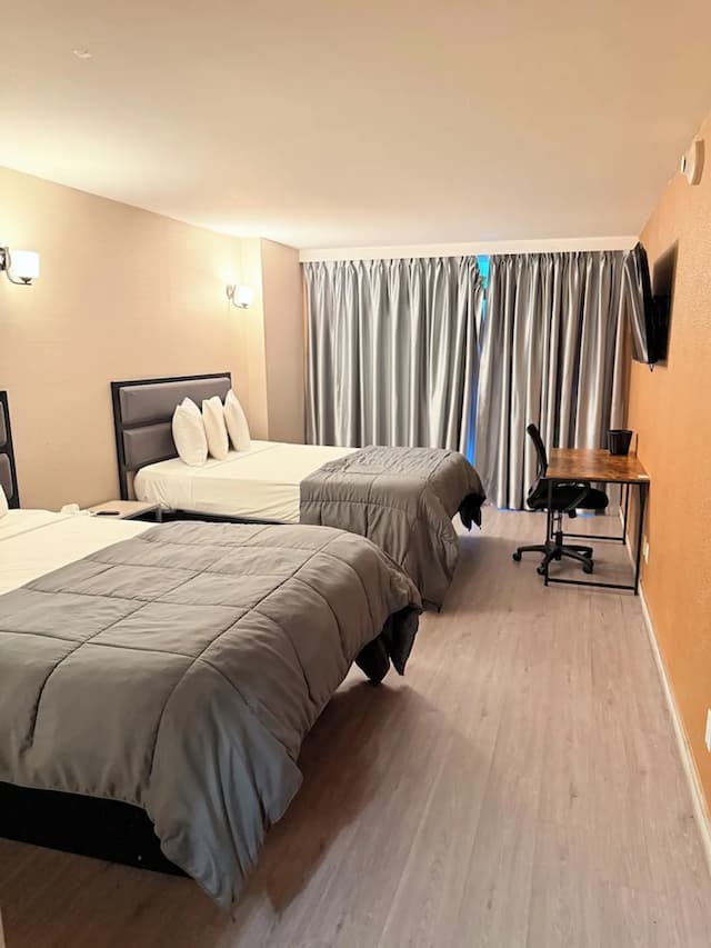 Hotel MOCA NYC-华丽双人房-2