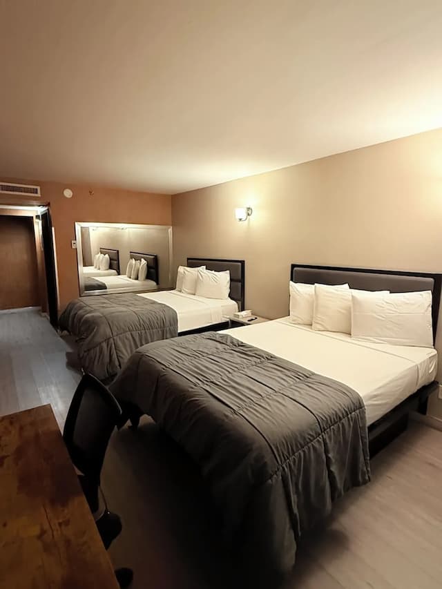 Hotel MOCA NYC-华丽双人房-4