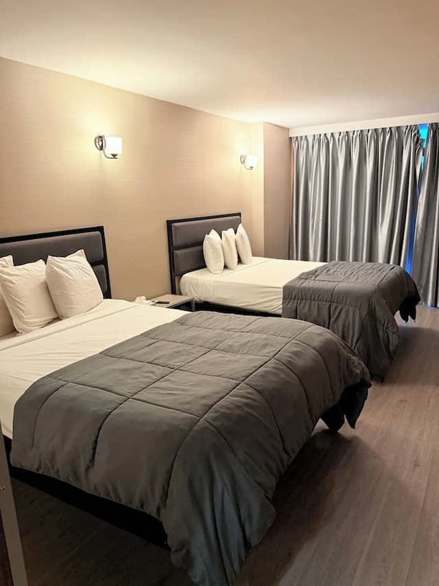 Hotel MOCA NYC-华丽双人房-2