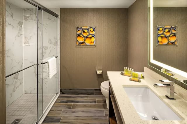 DoubleTree by Hilton Toronto Airport-Room, 1 King Bed-3