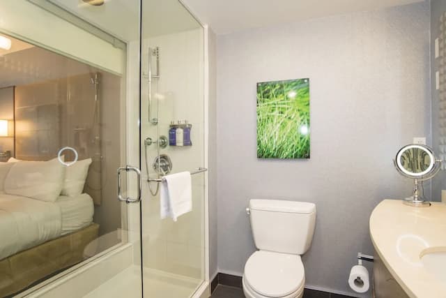 溫哥華布魯酒店-豪華客房, 1 張特大雙人床, 露台-9