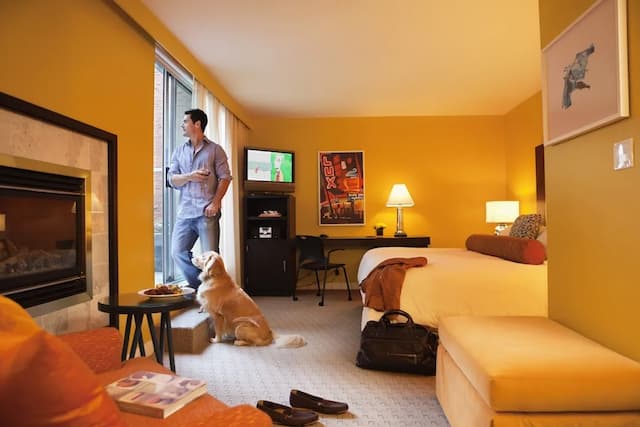 オーパス ホテル バンクーバー-ルーム キングベッド 1 台 (Secret Garden)-2