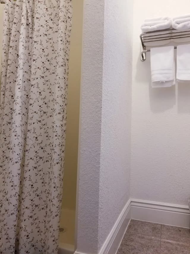 奧蘭治村旅舍-豪華客房, 1 張加大雙人床, 私人浴室-7