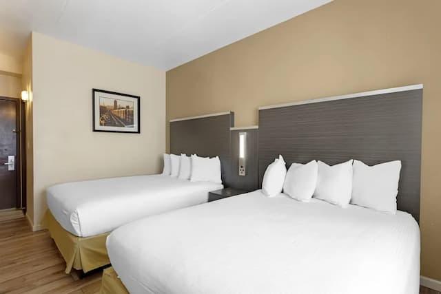 貝斯特韋斯特牙買加飯店-標準客房, 2 張加大雙人床, 非吸煙房, 冰箱和微波爐-1