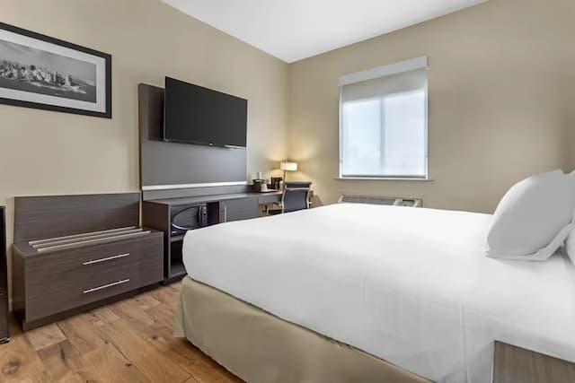 貝斯特韋斯特牙買加飯店-標準客房, 1 張特大雙人床, 非吸煙房, 冰箱和微波爐-3