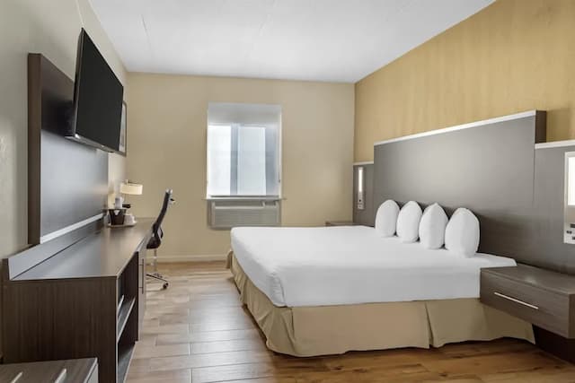 貝斯特韋斯特牙買加飯店-標準客房, 1 張特大雙人床, 非吸煙房, 冰箱和微波爐-1