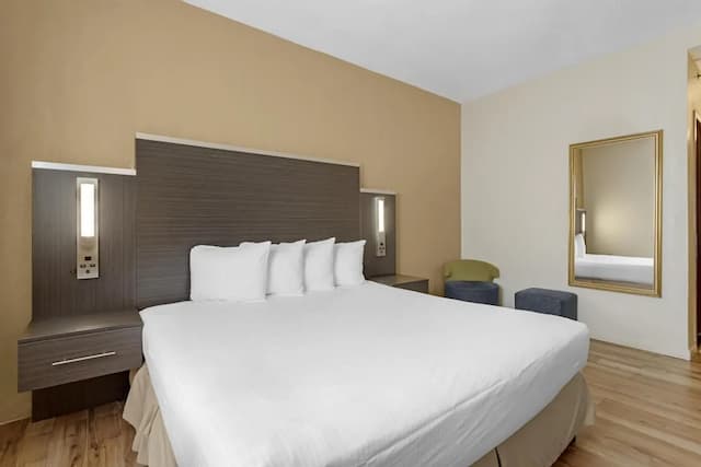 貝斯特韋斯特牙買加飯店-標準客房, 1 張特大雙人床, 非吸煙房, 冰箱和微波爐-2