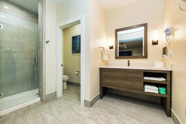 Palace Inn Blue Edgebrook-Standard Room-7