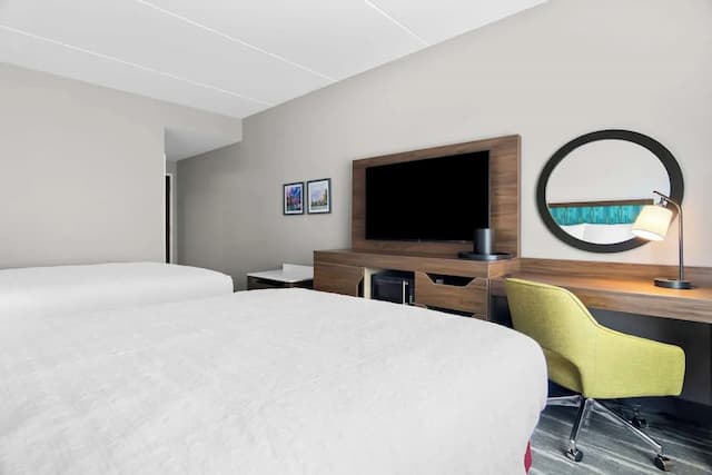 ハンプトンイン＆スイーツ・シカゴ・メディカルディストリクトUIC-ルーム クイーンベッド 2 台 バリアフリー (Roll-In Shower)-8