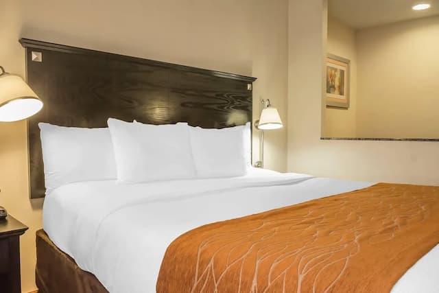 컴포트 인 & 스위트 라과디어 에어포트-스위트, 킹사이즈침대 1개 및 소파베드, 금연-5