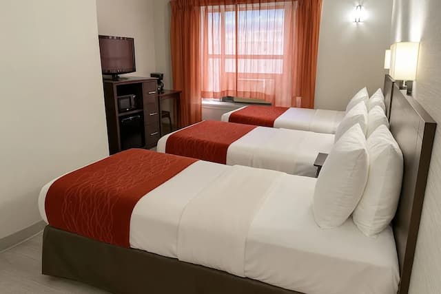 海瑞特飯店-標準客房, 3 張單人床, 非吸煙房-3