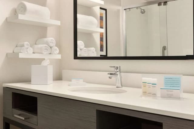 Hampton Inn Chicago West Loop Fulton Market Area-套房, 1 张特大床, 无烟房-4