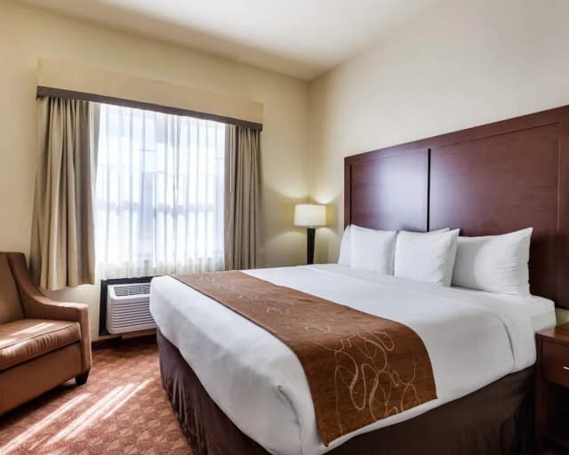 Comfort Suites near NASA - Clear Lake-Suite, 1 King Bed, Non Smoking, Hot Tub-3