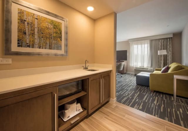 Hampton Inn & Suites Seattle/Redmond-Studio, 1 King Bed, Non Smoking, Refrigerator & Microwave-2