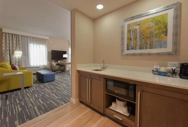 Hampton Inn & Suites Seattle/Redmond-Studio, 1 King Bed, Accessible, Non Smoking (hearing acc)-3