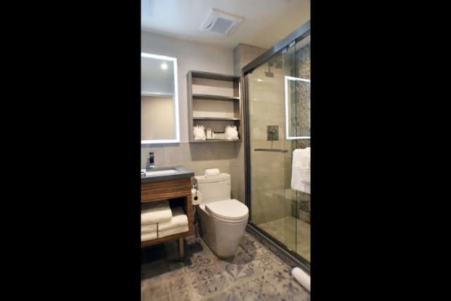 Insignia Hotel Brooklyn, an Ascend Collection Hotel-标准房, 1 张大床, 无烟房-1