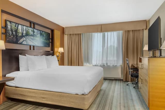 ベストウェスタン クイーンズ ゴールド コースト-スタンダード ルーム キングベッド 1 台 禁煙 冷蔵庫 & 電子レンジ-4