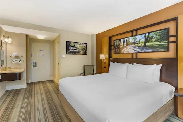 ベストウェスタン クイーンズ ゴールド コースト-スタンダード ルーム キングベッド 1 台 禁煙 冷蔵庫 & 電子レンジ-2