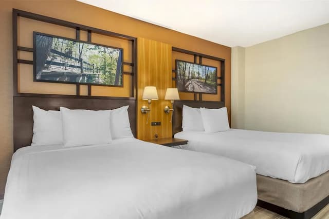 ベストウェスタン クイーンズ ゴールド コースト-スタンダード ルーム ダブルベッド 2 台 禁煙 冷蔵庫 & 電子レンジ-4