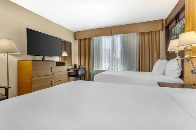 ベストウェスタン クイーンズ ゴールド コースト-スタンダード ルーム ダブルベッド 2 台 禁煙 冷蔵庫 & 電子レンジ-2